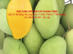 Xoài cát Hòa lộc chính hiệu - Tiền Giang