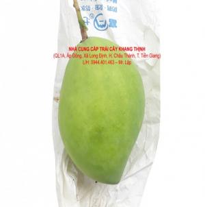 Xoài cát Hòa lộc chính hiệu - Tiền Giang