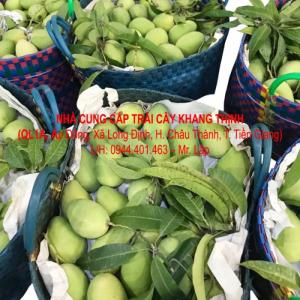 Xoài cát Chu vỏ vàng/ xanh – chính hiệu Cao Lãnh, Đồng Tháp