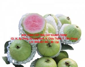 Ổi Nữ hoàng ruột đỏ - Tiền Giang