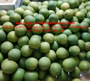 Bưởi Da xanh chính hiệu Bến Tre