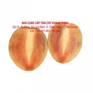 Sapô (Hồng xiêm) – Vĩnh Kim, Tiền Giang