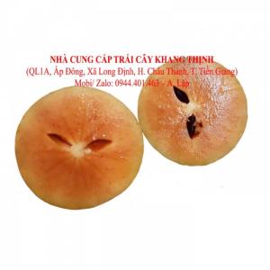 Sapô (Hồng xiêm) – Vĩnh Kim, Tiền Giang
