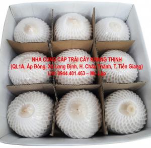 Dừa gọt kim cương/ gọt trọc xuất khầu