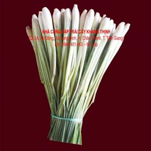 Sả cây/ Sả cắt khúc/ sả đùi gà xuất khẩu