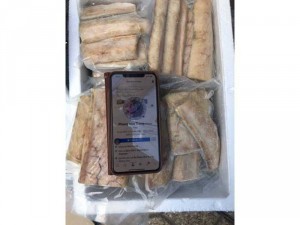 Lườn cá thu cấp đông hàng loại 1