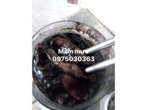 Mắm mực Bình Định