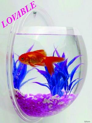 Hồ cá treo tường AQUARIUS - 23.5cm