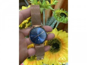 Đồng hồ nhập khẩu từ Châu Âu