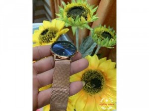 Đồng hồ nhập khẩu từ Châu Âu