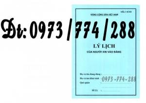 Lý lịch của người xin vào Đảng - Mẫu 2