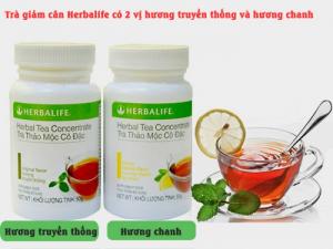 trà thảo mộc cô đặc hbl