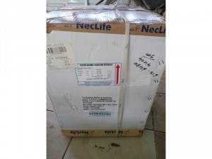 cefotaxime neclife