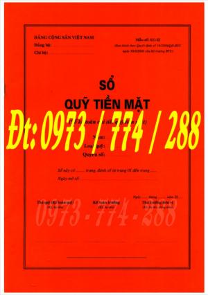 Sổ quỹ tiền mặt loại 2
