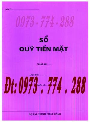 Sổ quỹ tiền mặt loại 2