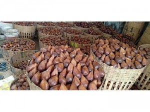 Mây indo - salak bali