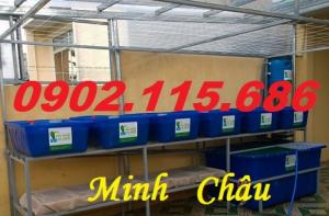 Thùng nhựa nuôi cá koi,thùng nhựa nuôi cá mô hình,thùng nhựa nuôi cá cảnh,thùng nhựa trồng rau,thùng nhựa nuôi thủy hải sản,