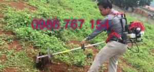 Máy xạc cỏ đeo vai 3 chức năng: vừa xạc, vừa xới, vừa cắt cỏ