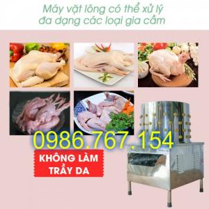Máy vặt lông gà vịt phi 50-55 chạy điện