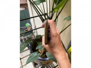 Iphone X64G Qtế zin áp . 3u xanh lét -pin 90%