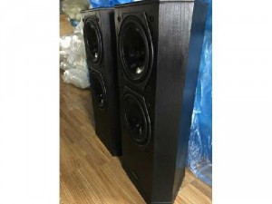 Loa tannoy 611 anh quốc