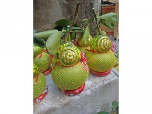 Trái cây chưng Tết