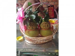 Trái cây chưng Tết