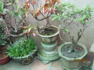 Bán bể đá và 2 chậu đá cổ - có ảnh