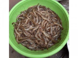 tép bạc thiên nhiên