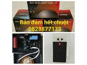 Đuổi hết chuột trong nhà 100%