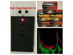 Đuổi hết chuột trong nhà 100%