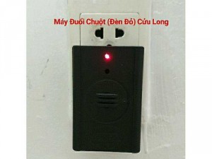 Đuổi hết chuột trong nhà 100%