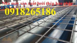 Lưới thép hàn đổ bê tông phi 6 a 200x200, 100x200