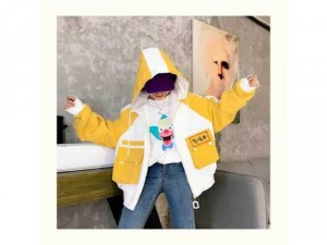 Áo khoác dù 2 lớp Princeprin % cao cấp TN