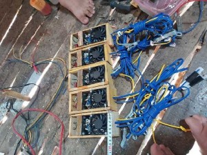 Xiệt lươn cá êch chuyên ngiệp mini