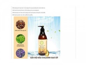 Bộ đôi dầu gội xã collagen