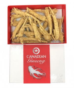 Nhân sâm nguyên củ Canada SilverLife Diamond 500g - Món quà quý cho sức khỏe