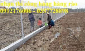 Hàng rào lưới thép hàn D5 a 50x200 mạ kẽm sơn tĩnh điện