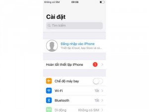 Iphone SE 32g zin