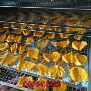 Máy sấy thực phẩm đa năng COUFA