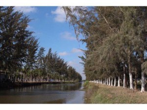 ????????????Đất nền mặt tiền đường số 7 Khu đô thị Mekong, phường 4 Tp.Sóc Trăng!