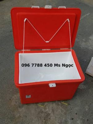 Bán Thùng giữ lạnh 800 lít, thùng lạnh quán ăn, nhà hàng