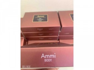 Ammi body