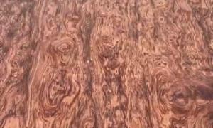 Cần bán 2 mảnh gỗ nu cẩm dài 5m rộng 185 dày 30