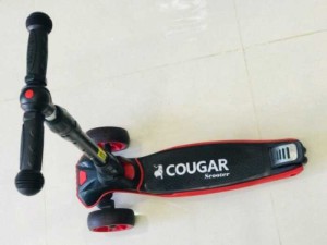 Scooter Cougar