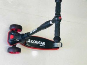 Scooter Cougar