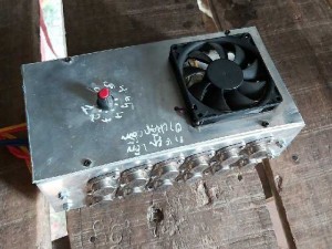 Chuyên cung cấp các lai kich cá