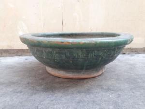 Chậu dáng thau, toàn lành