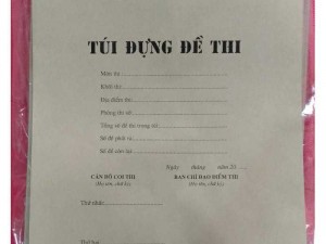 Túi đựng đề thi a4