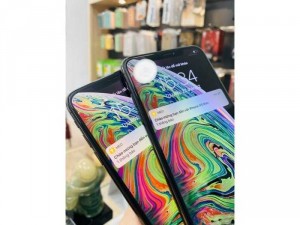 XS Max 64Gb Gray siêu lướt pin 100%
